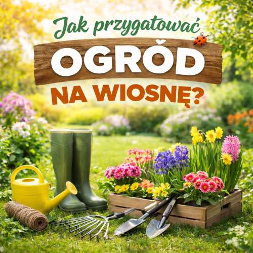 Jak przygotować ogród na wiosnę? Kompleksowy poradnik krok po kroku