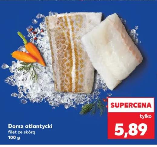 dorsz filet