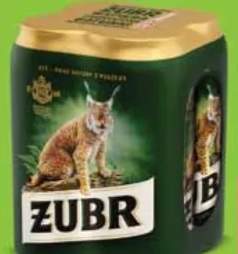 piwo Żubr