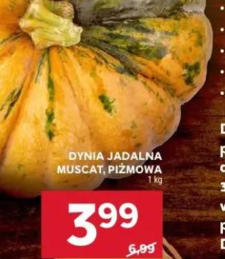 dynia