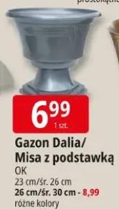 gazon