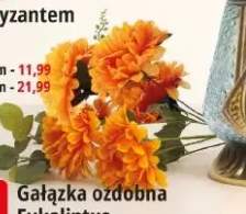 chryzantemy bukiet