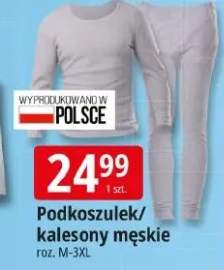 kalesony męskie