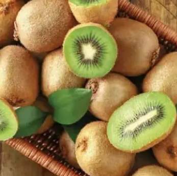 kiwi