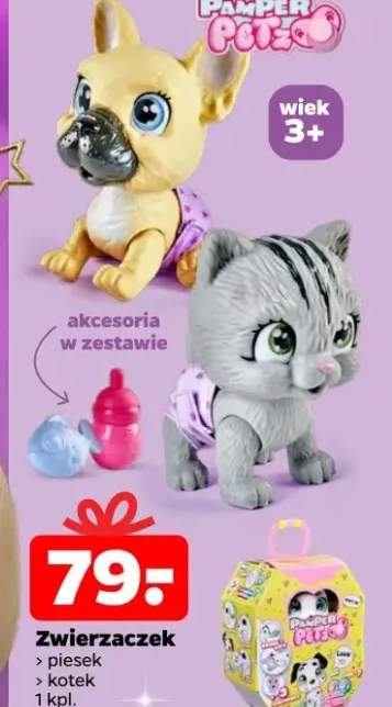zwierzaki