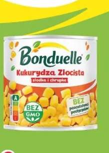 kukurydza konserwowa