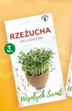 rzeżucha