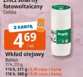 Wkład olejowy