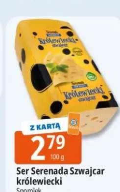 Ser Serenada Szwajcar królewiecki