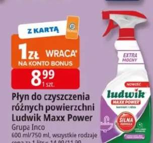 Płyn do czyszczenia różnych powierzchni Ludwik Magic Power