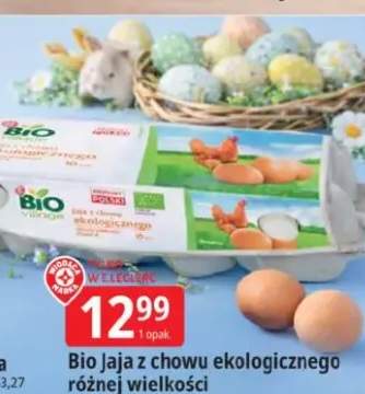 Bio jaja z chowu ekologicznego różnej wielkości