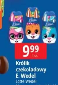 Królik czekoladowy