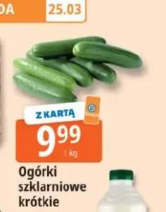 Ogórki szklarniowe krótkie