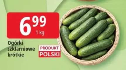 Ogórki szklarniowe krótkie