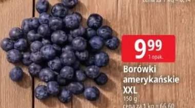 Borówki amerykańskie XXL