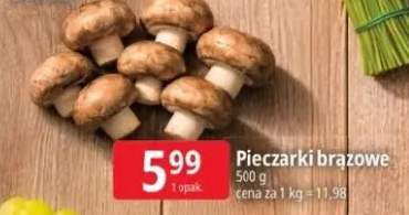 Pieczarki brązowe
