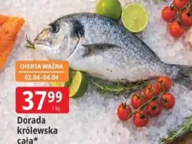 Dorada królewska cała