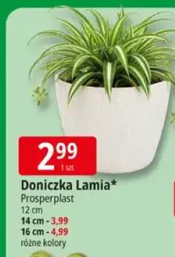 Doniczka Lamia 12cm