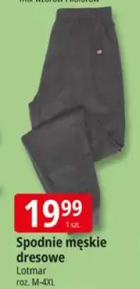 Spodnie męskie dresowe