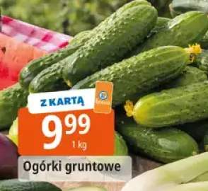 Ogórki gruntowe