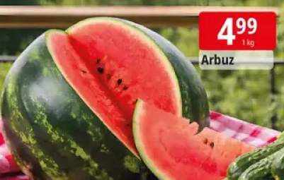 Arbuz