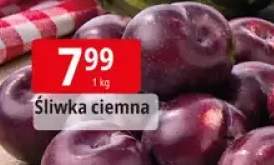 Śliwka ciemna