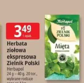 Herbata ziołowa ekspresowa Zielnik Polski Mięta