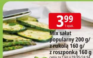 Sałatka mix popularny