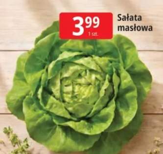 Sałata masłowa