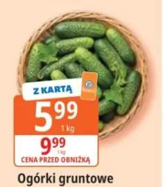 Ogórki gruntowe