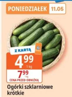 Ogórki szklarniowe krótkie