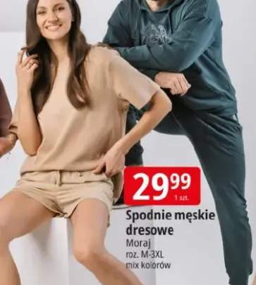 Spodnie męskie dresowe Moraj roz. M-3XL mix kolorów