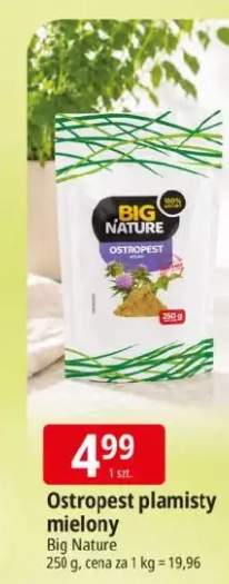 Ostropest plamisty mielony Big Nature