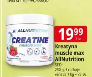 Kreatyna muscle max AllNutrition