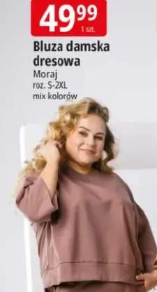 Bluza damska dresowa Moraj roz. S-2XL mix kolorów