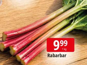 Rabarbar