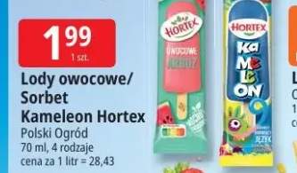 Lody owocowe/Sorbet Kameleon Hortex
