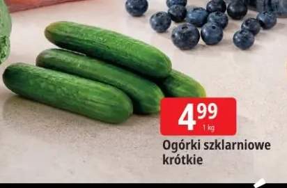 Ogórki szklarniowe krótkie
