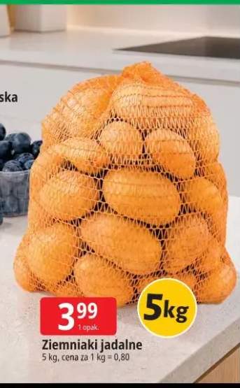 Ziemniaki jadalne