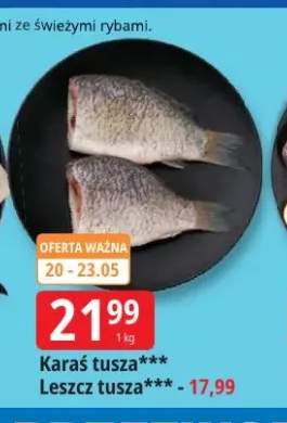 Karaś tusza