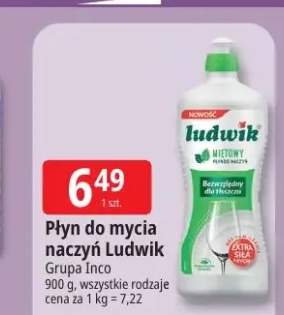 Płyn do mycia naczyń Ludwik