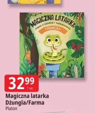 Magiczna latarka Dżungla Platon
