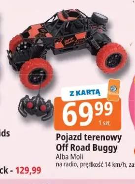 Pojazd terenowy Off Road Buggy Alba Moli