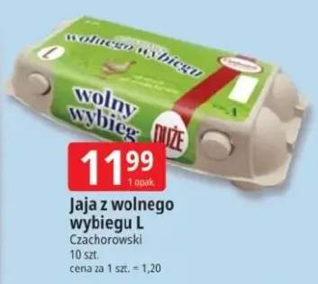 Jaja z wolnego wybiegu L Czachorowski