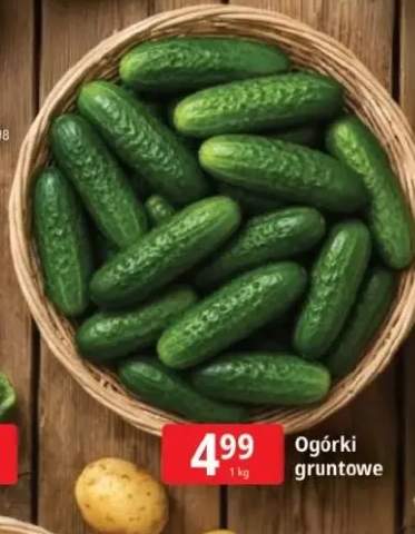 Ogórki gruntowe