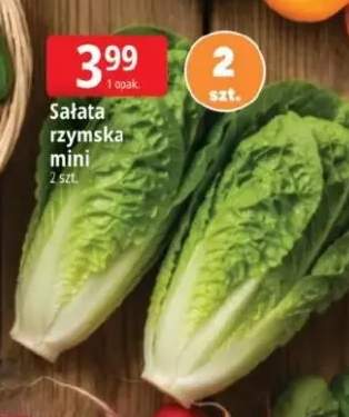 Sałata rzymska mini