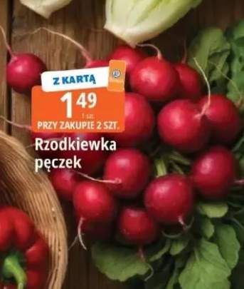 Rzodkiewka pęczek