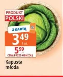 Kapusta młoda polska