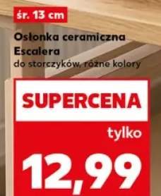 storczyk