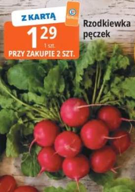 Rzodkiewka pęczek